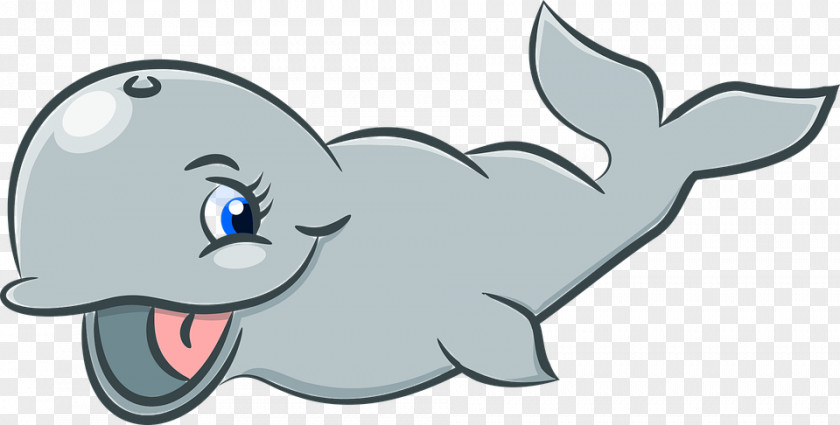 Dolphin Clip Art Vertebrate Cartoon Cetacea PNG