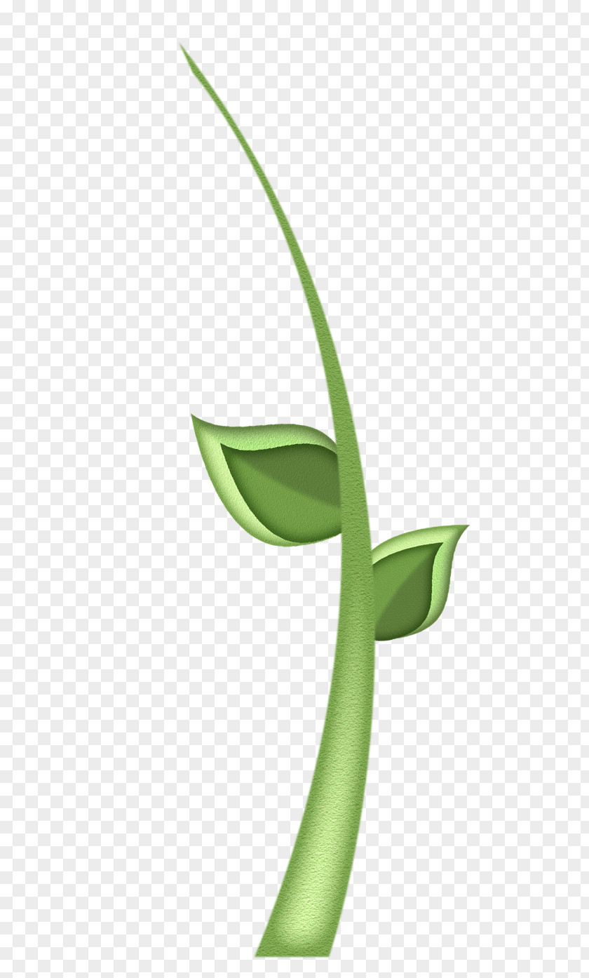 Leaf Clip Art Illustration Image PNG