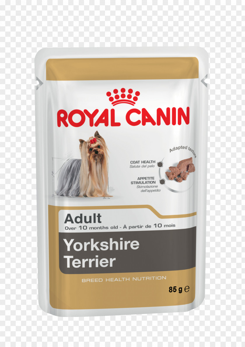 Cat Yorkshire Terrier Dog Food Royal Canin GR PNG
