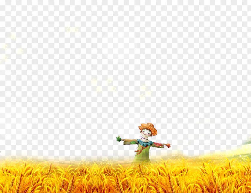 Cornfield Scarecrow PNG