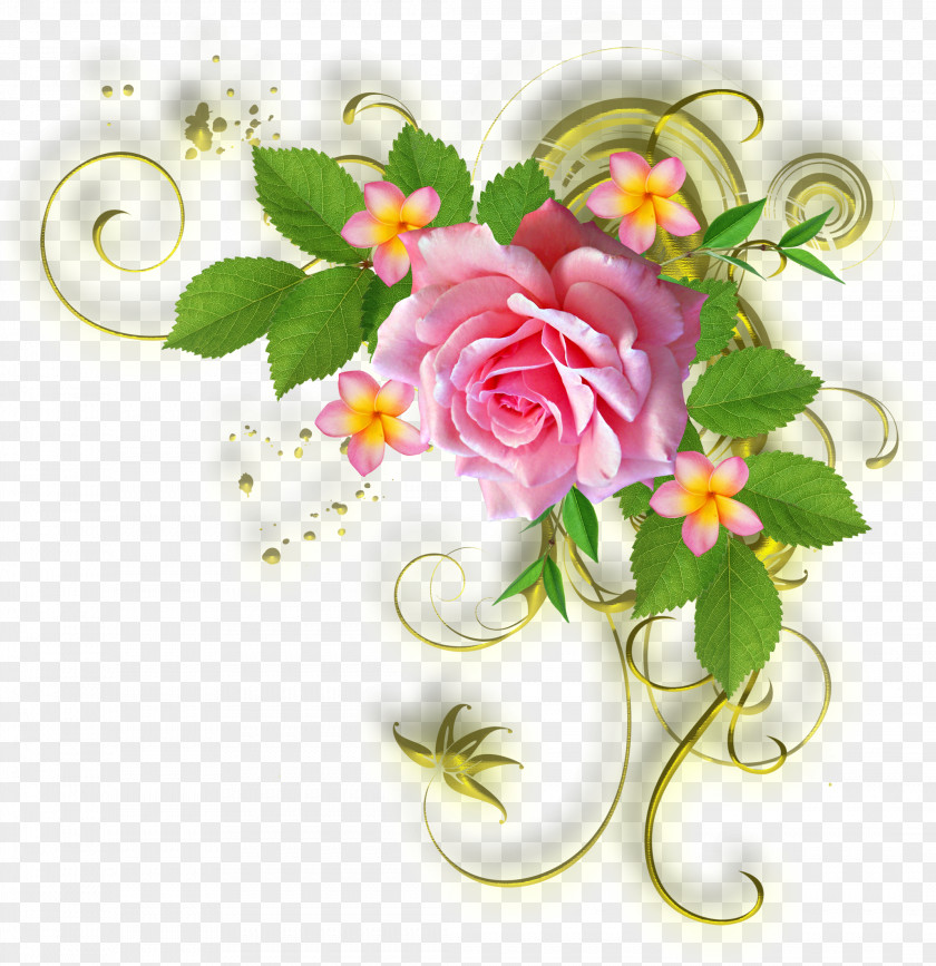 Flower Greeting & Note Cards Floral Design Rose Clip Art PNG