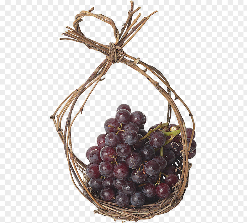 Grape Vector Graphics Image Download PNG