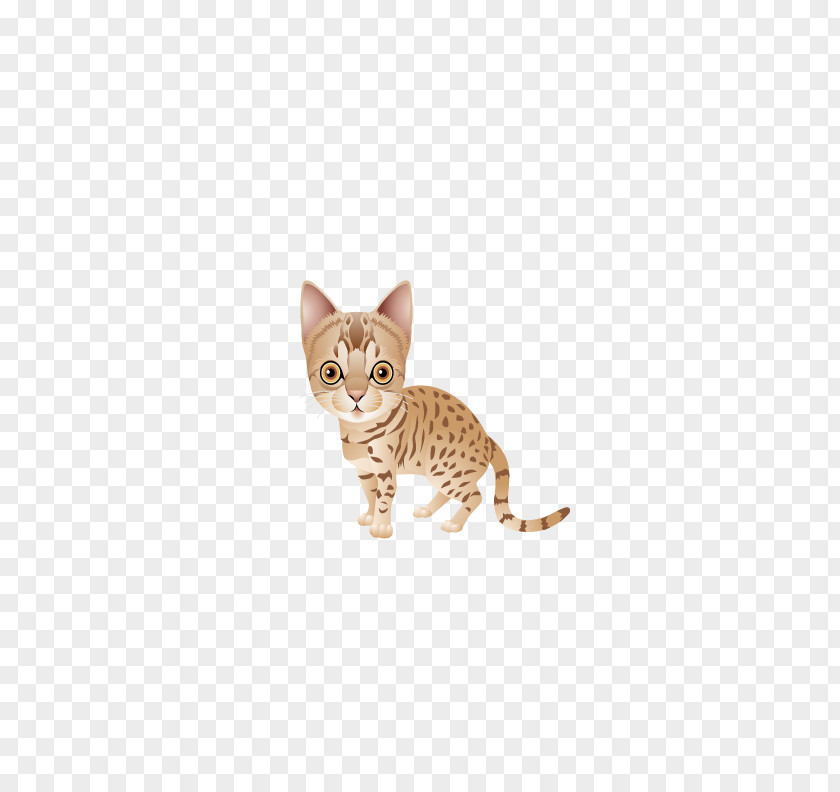 Meng Pet Cat Ocicat Bengal Savannah California Spangled Kitten PNG