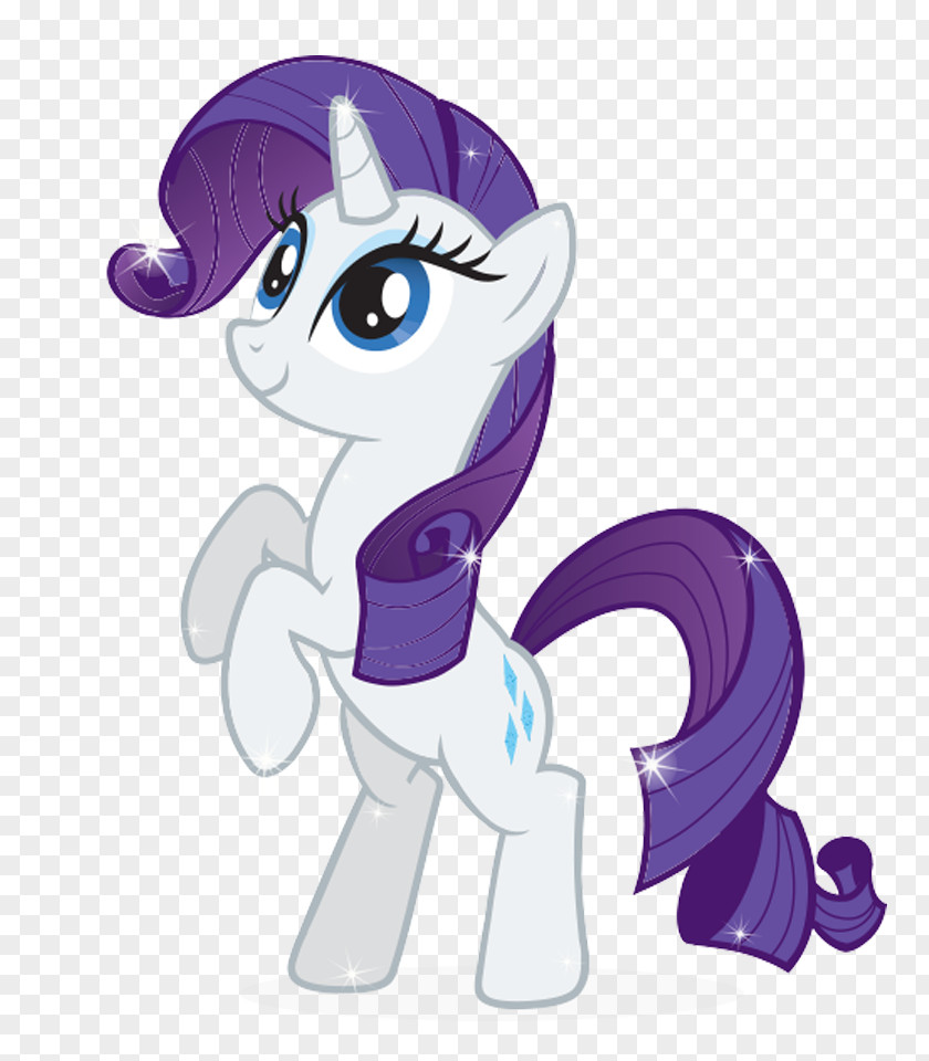 My Little Pony Rarity Pinkie Pie Rainbow Dash Twilight Sparkle PNG