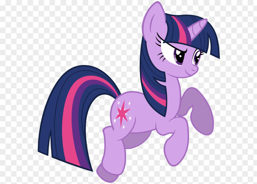 My Little Pony Twilight Sparkle Rainbow Dash Applejack Rarity PNG