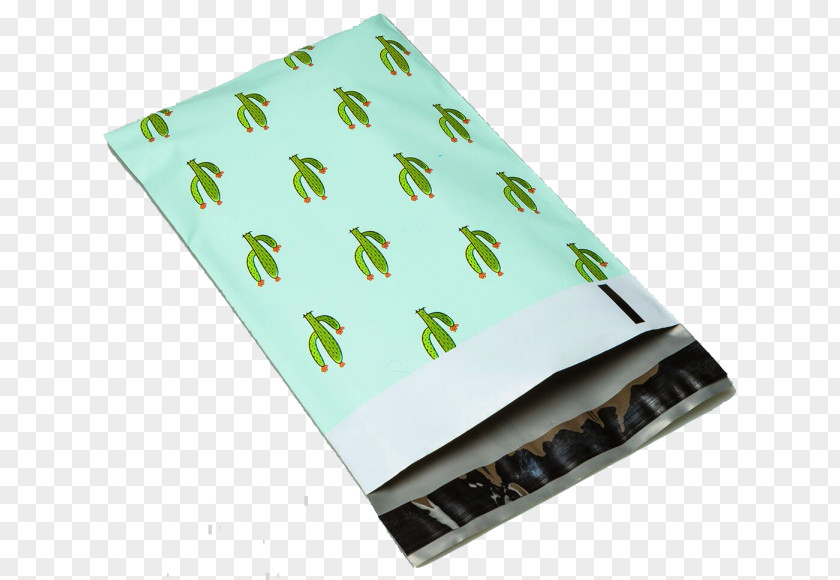 Polyethylene Plastic Bag Cactaceae Green Paper パイナップルミント Succulent Plant PNG