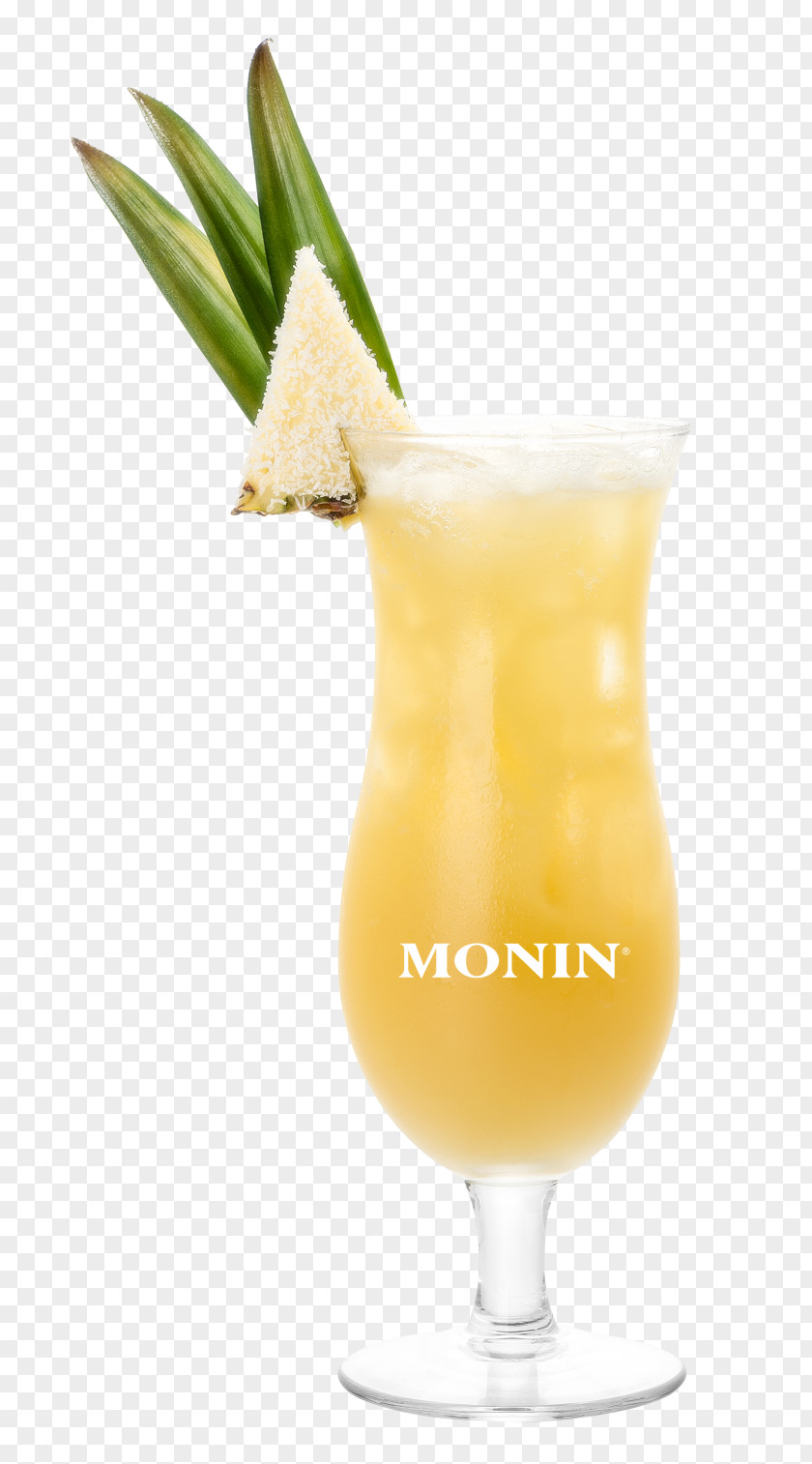Cocktail Garnish Piña Colada Mai Tai Harvey Wallbanger Daiquiri PNG
