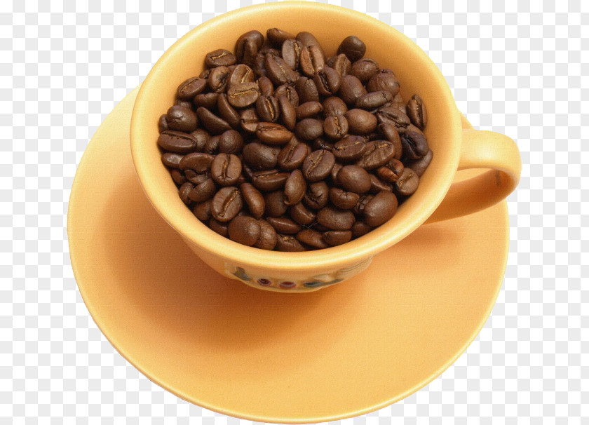 Cup Of Coffee Beans Bean Tea PNG