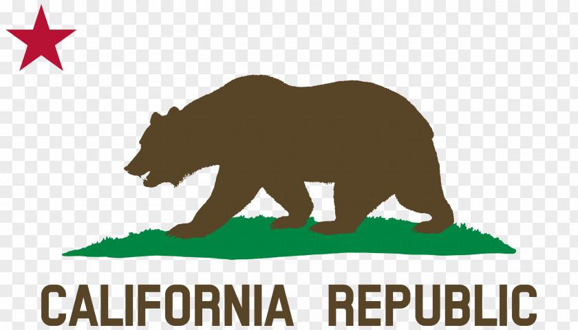 Flag Of California Republic State PNG