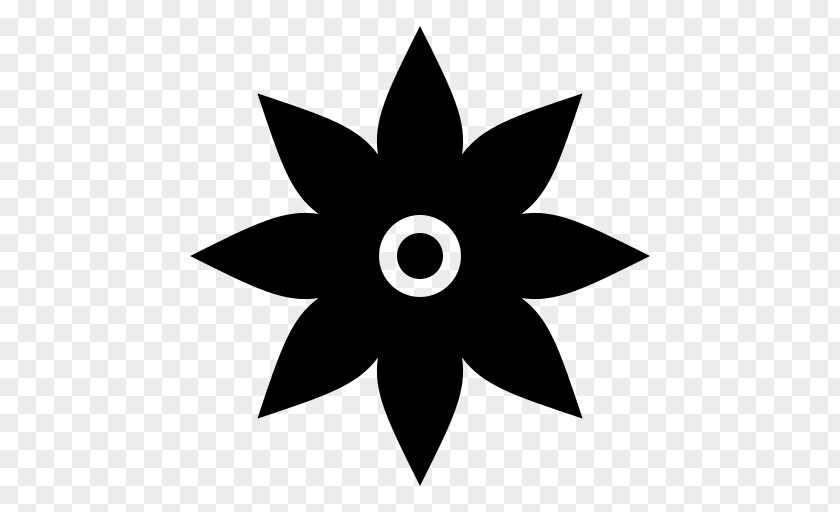 Flower Star Graphic Design PNG