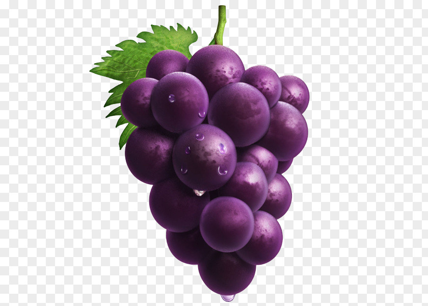 Hand-painted Purple Grapes Grape PNG