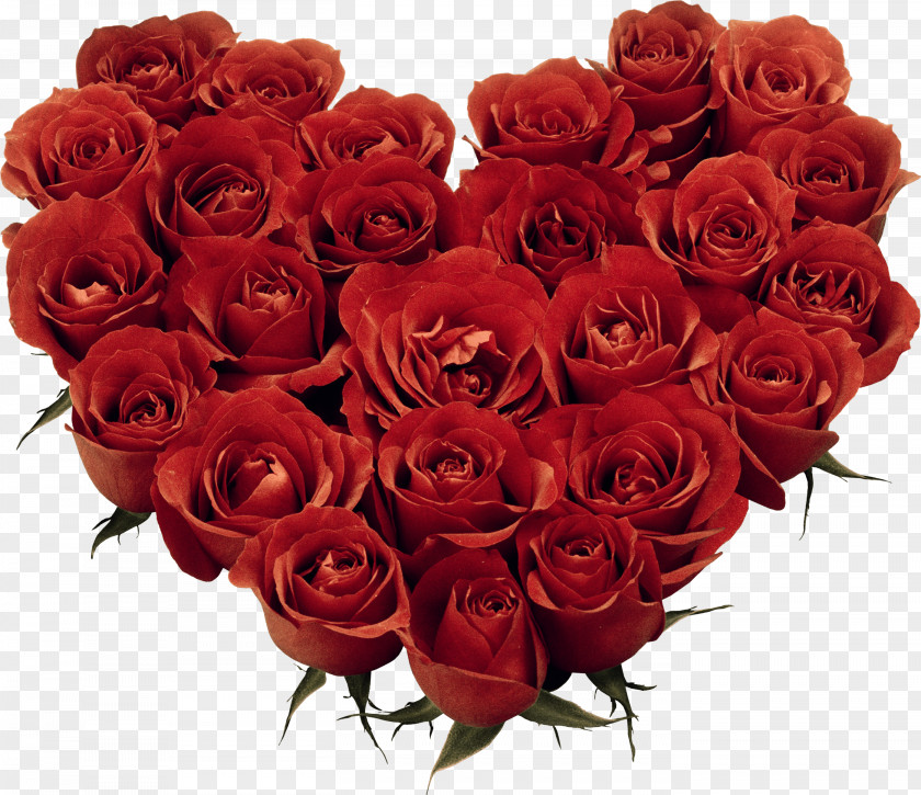 Rose Valentine's Day February 14 Gift Love Holiday PNG