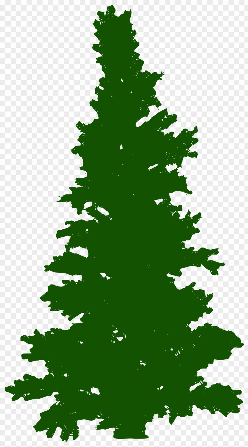 Tree Christmas Pine Fir PNG