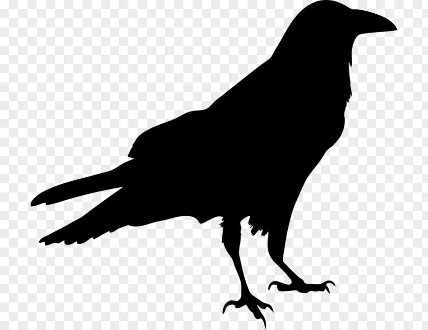 Bird Blackbird Silhouette Clip Art PNG