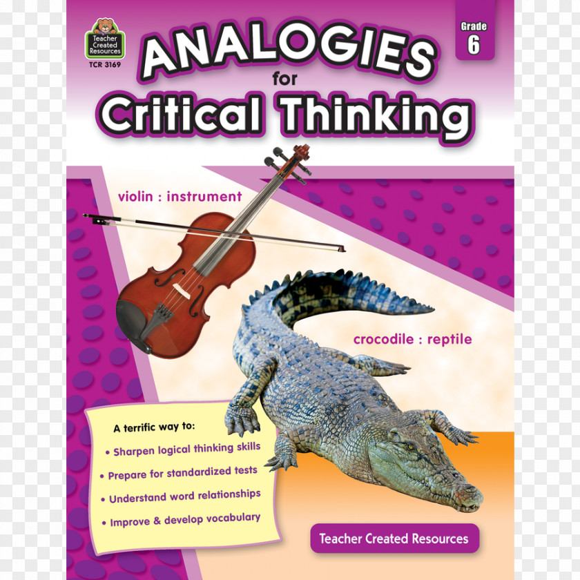 Book Analogies For Critical Thinking: Grade 6 Thought Writing PNG