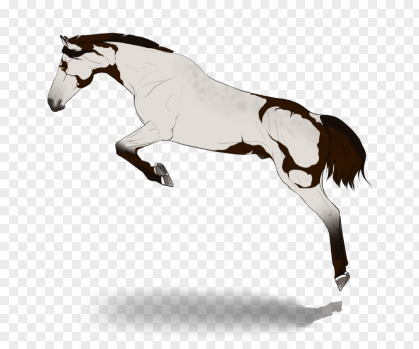 Ashen Mane Pony DeviantArt Stallion Mustang PNG