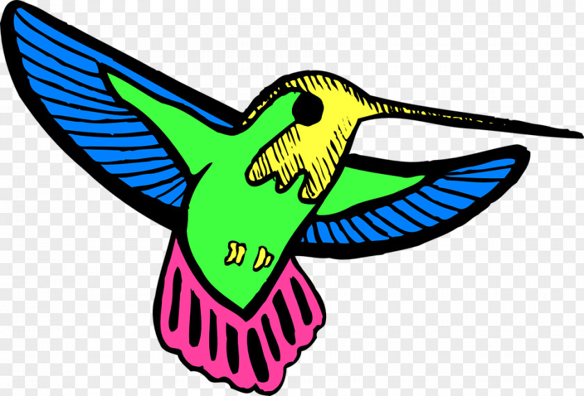 Bird Hummingbird Drawing Clip Art PNG