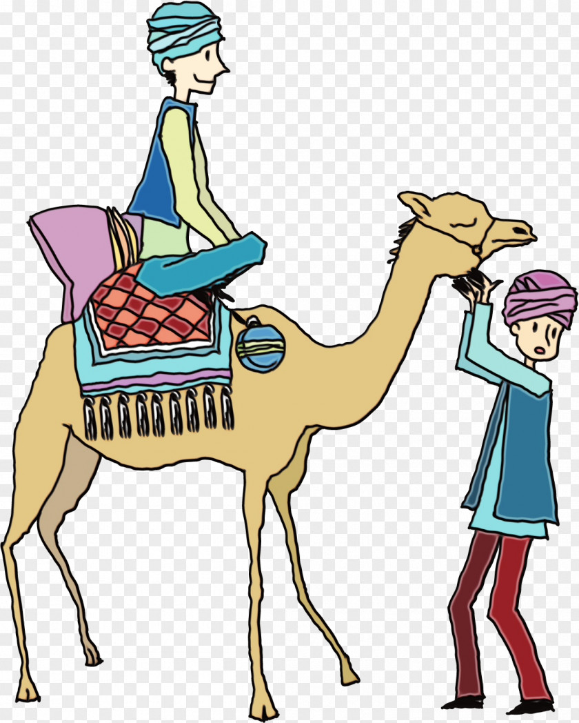 Dromedary Cartoon Livestock Behavior Human PNG