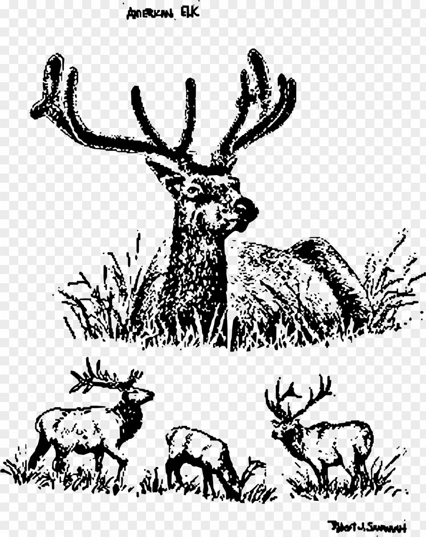 Elk Clipart Reindeer United States Clip Art PNG