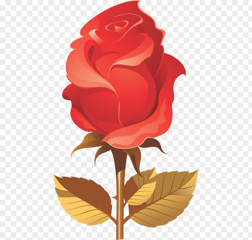 Flower Garden Roses Beach Rose Black Clip Art PNG