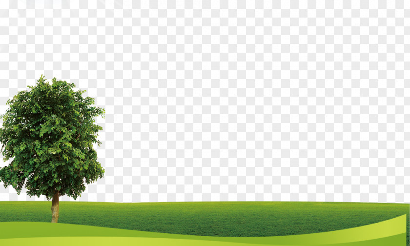 Meadow PNG