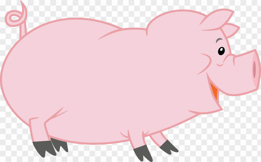 Pig Domestic Snout DeviantArt PNG