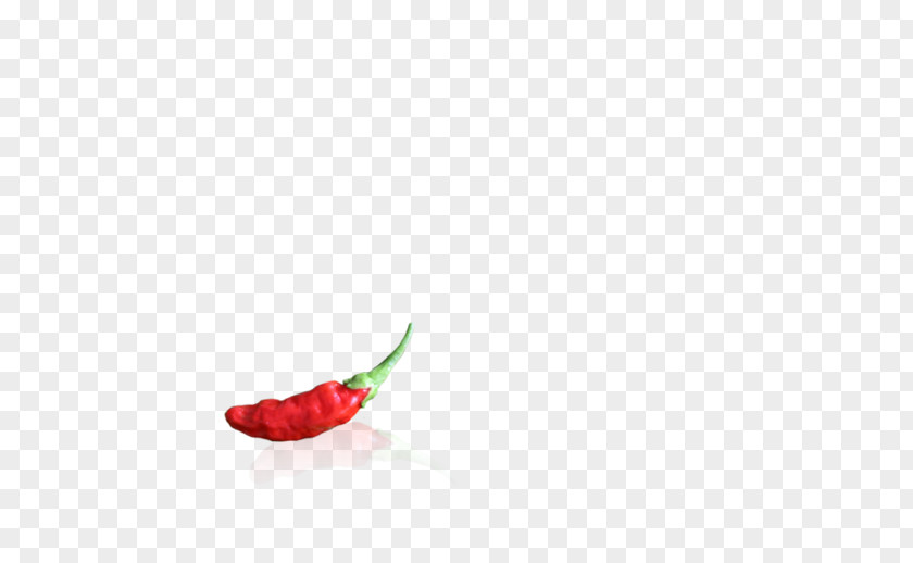 Small Pepper Chili Body Jewellery Close-up PNG