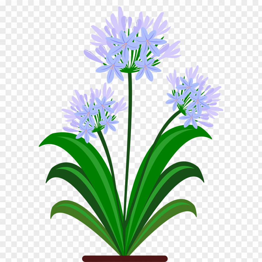 Flower Cut Flowers Lily Of The Nile Clip Art PNG