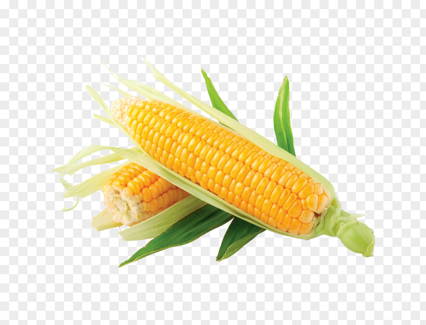Grits Corn On The Cob Maize Sweet Baby PNG