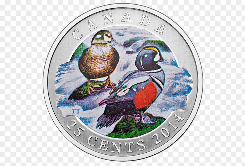 Royal Canadian Mint Duck Coin Quarter Cent PNG