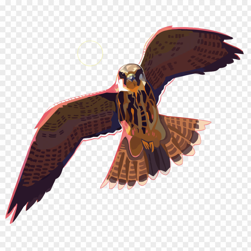 Vector Eagle Drawing DeviantArt PNG