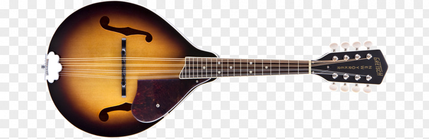 Acoustic Guitar Cuatro Mandolin Acoustic-electric Tiple PNG