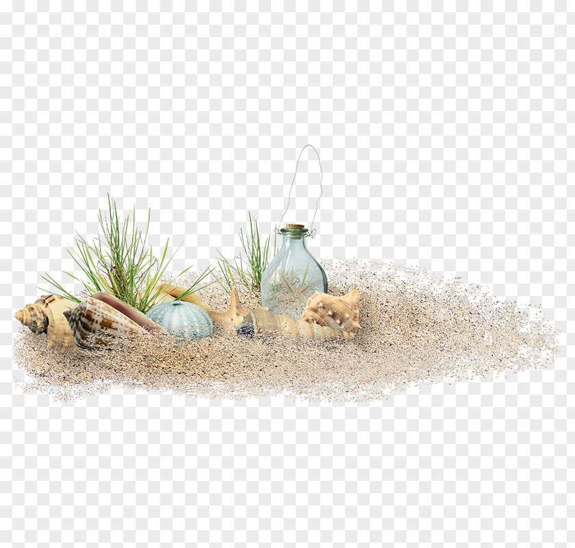 Beach Elements,Beach Material Sand Computer File PNG