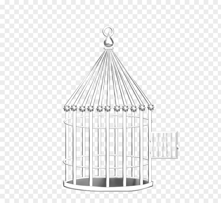 Bird Birdcage Drawing Clip Art PNG