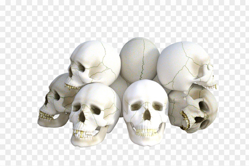 Grave Skull Bone Skeleton Vertebrate PNG