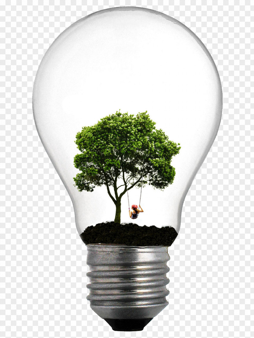 Lightbulb Incandescent Light Bulb Tree Lamp Lighting PNG