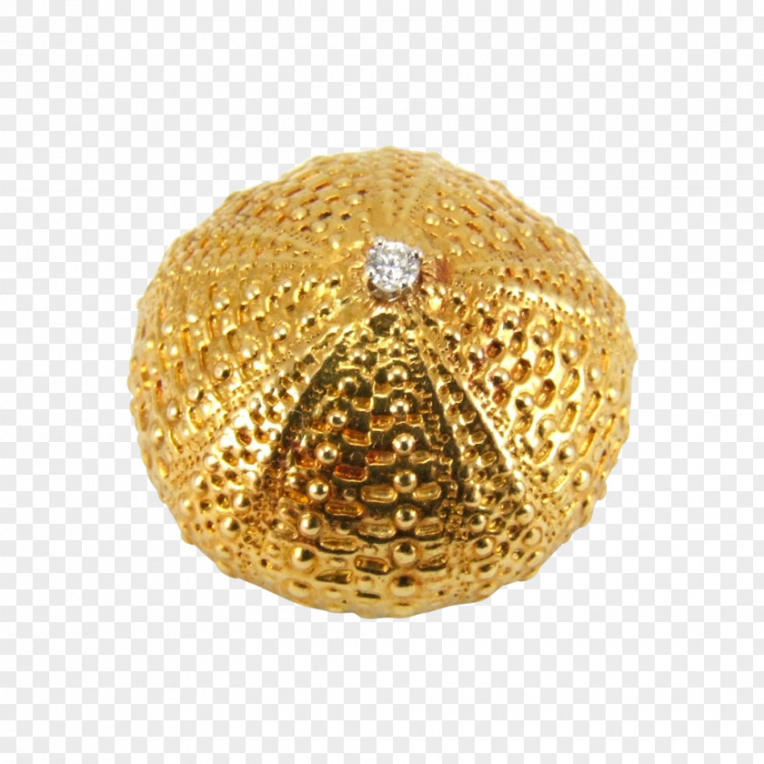Seashell Jewellery Colored Gold Carat Diamond PNG