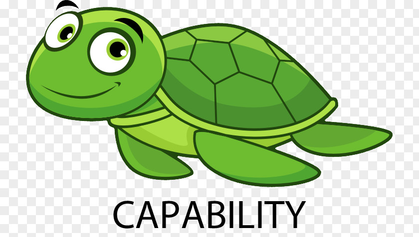 Seaturtle Sea Turtle Tortoise Swimming Clip Art PNG