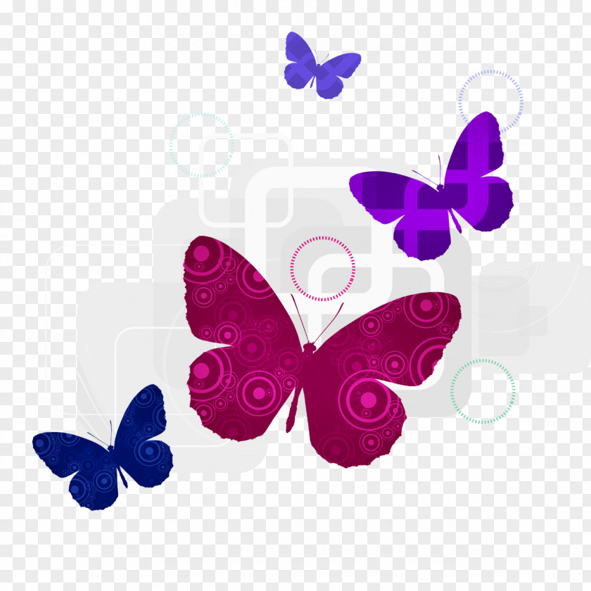 Butterfly Fun Dancer Silhouette PNG