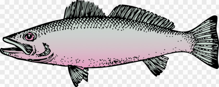 Fish Graphics Free Content Clip Art PNG