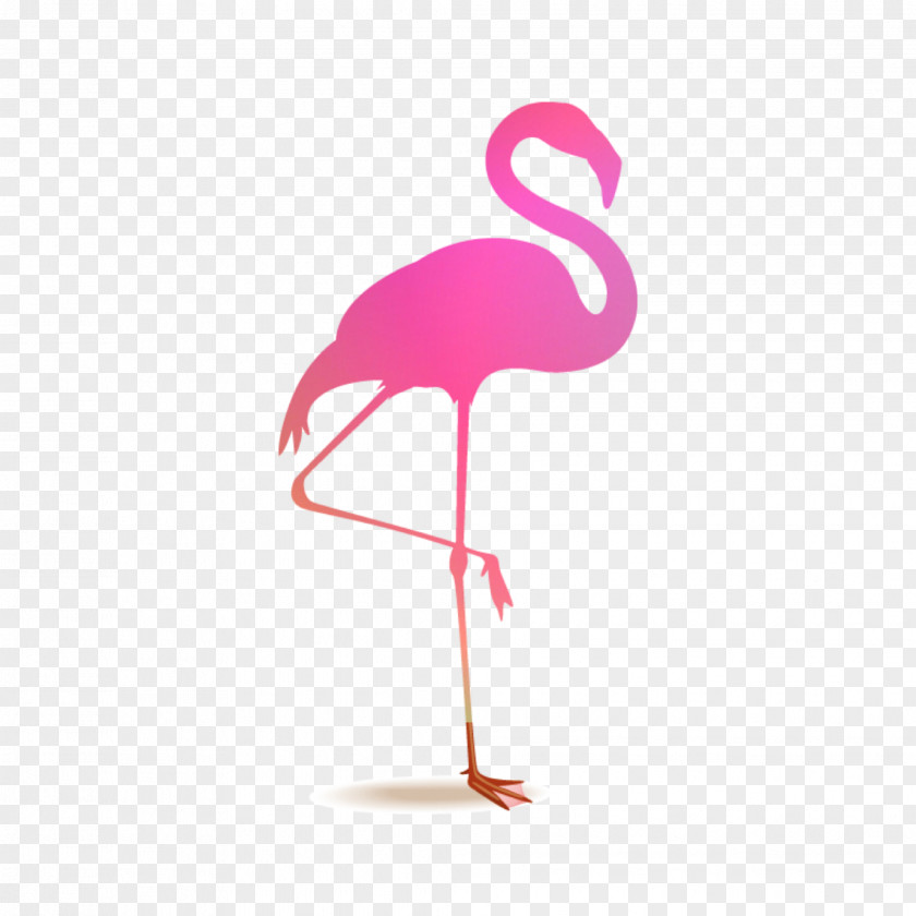 Flamingos Flamingo Royalty-free PNG