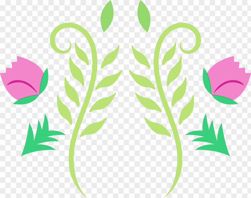 Leaf Flower Petal Green Tree PNG