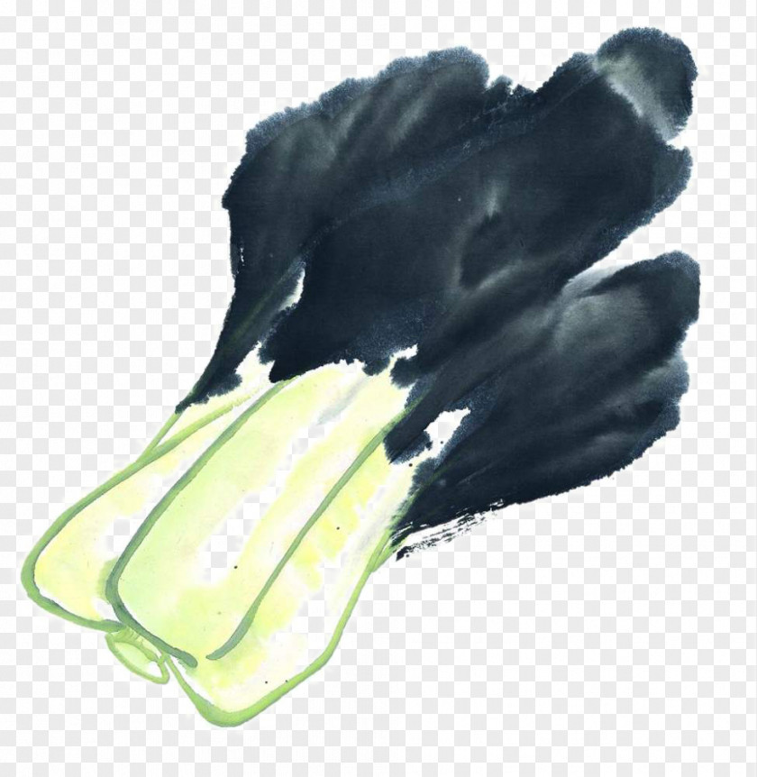 Painting Cabbage Ink Wash U5199u610fu753b PNG