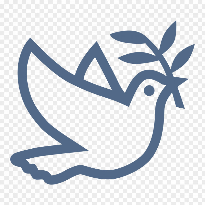 Pigeon Columbidae Peace Drawing PNG