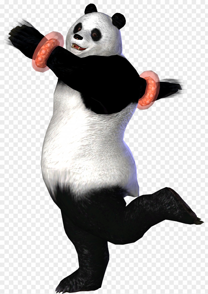 Tekken 6 Giant Panda 3D: Prime Edition Bear PNG