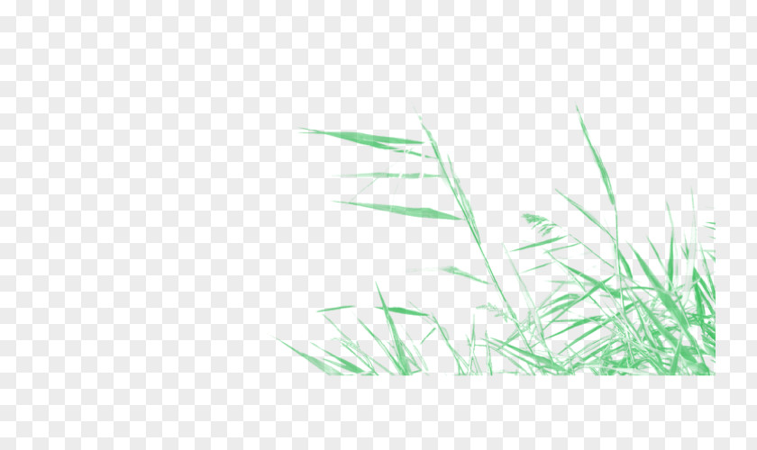 Mountain Drawing Desktop Wallpaper Grass Font Line Commodity PNG
