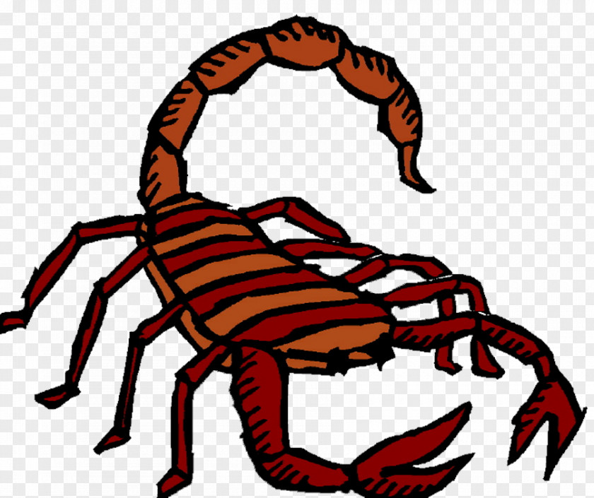Scorpion The Clip Art PNG