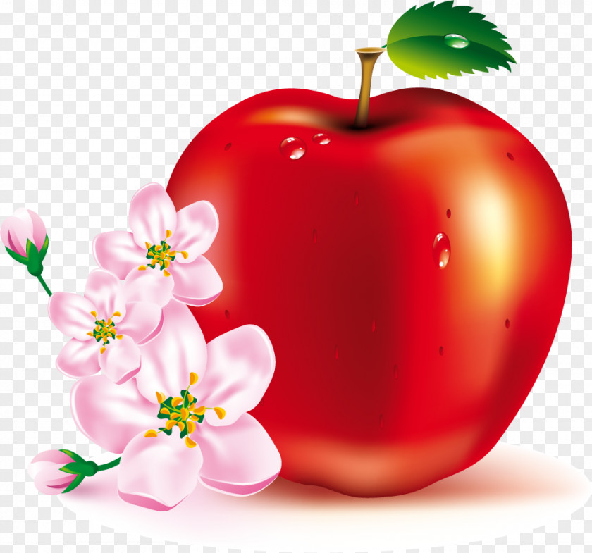 Dates Fruit Apple Strawberry Clip Art PNG