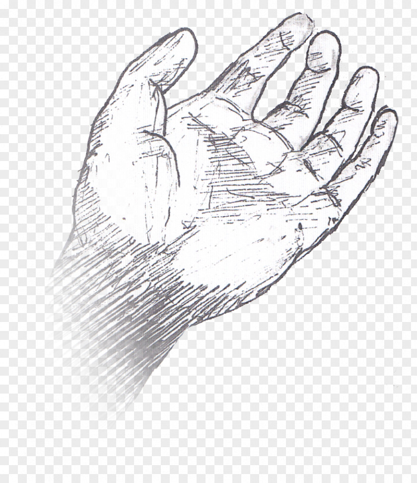 Design Thumb Hand Model Line Art Sketch PNG