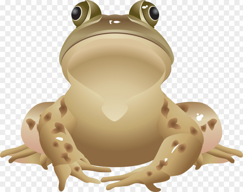 Frog All About Frogs Edible Clip Art PNG